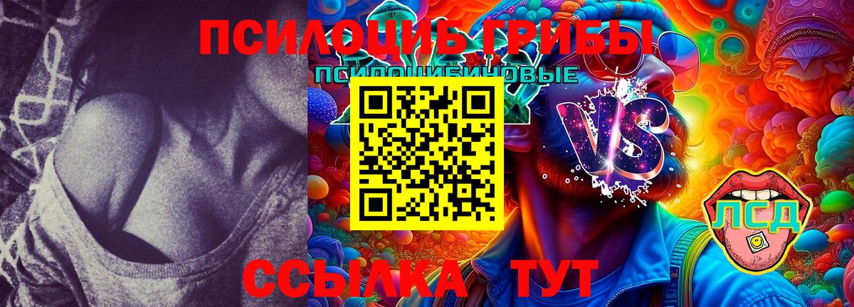 Галлюциногенные грибы MAGIC MUSHROOMS Трёхгорный